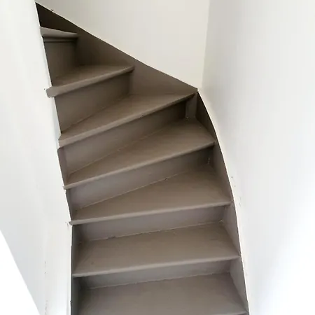 Prestige Pop Art Plaine Images Ρουμπαί